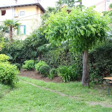 Apartment Rezine *
